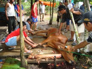 qurban-ldii