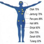 cara-minum-nabi