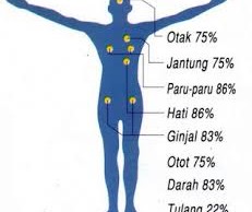 cara-minum-nabi