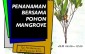 penanaman-1000-pohon-mangrove-fkub-mui-ldii-surabaya