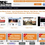 jasa pembuatan web toko online murah