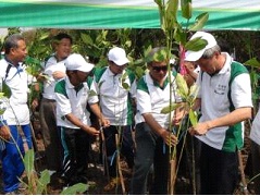 Penanaman manggrove LDII,MUI,FKUB